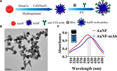 Sensitive and rapid detection of tetrodotoxin based on gold nanoflower-and latex microsphere-labeled monoclonal antibodies